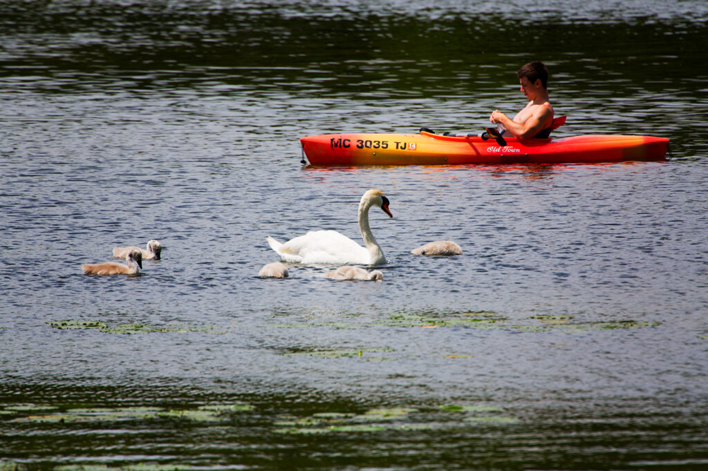 Hamlin Lake Canoe & Kayak Trail